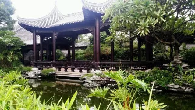 广东最美公路就在深圳！一条路，两边都是海！