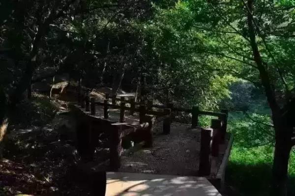 广东最美公路就在深圳！一条路，两边都是海！