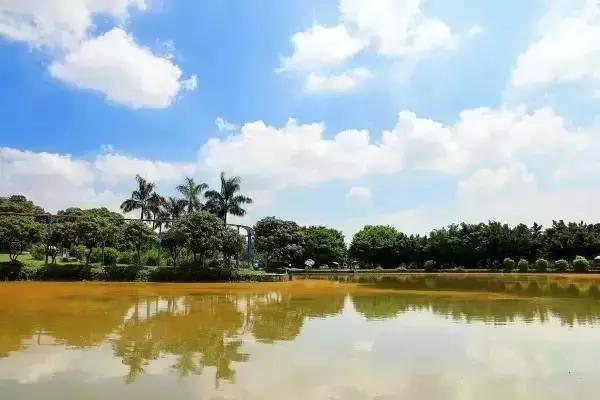 广东最美公路就在深圳！一条路，两边都是海！