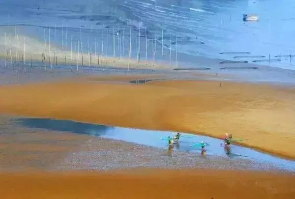 广东最美公路就在深圳！一条路，两边都是海！