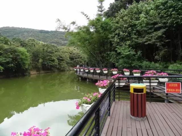 广东最美公路就在深圳!一条路,两边都是海!