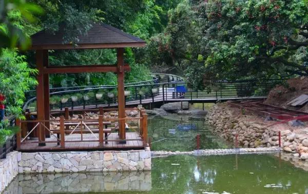 广东最美公路就在深圳!一条路,两边都是海!