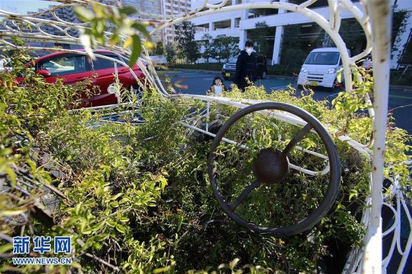 [2]（外代二线）街头绿色艺术