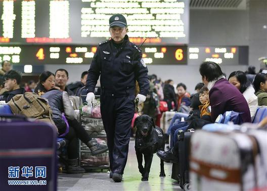 （关注春运）警犬“贵龙”站好春运岗