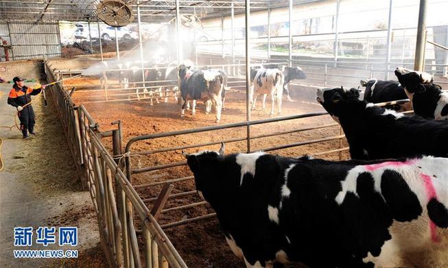 (外代一线)(3)韩国出现口蹄疫疫情