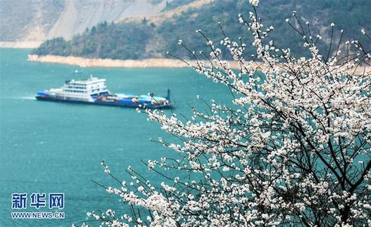 #（视·觉）春到三峡