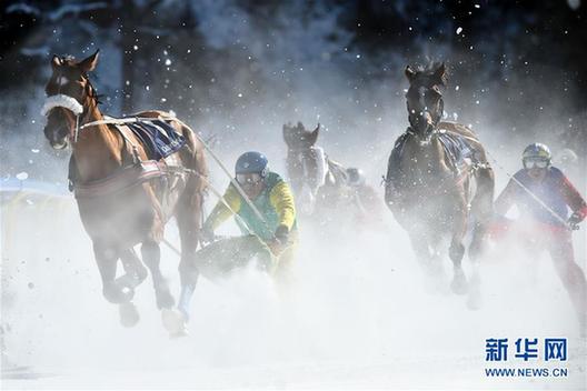 [15]（外代二线）赛马——雪地赛马大会