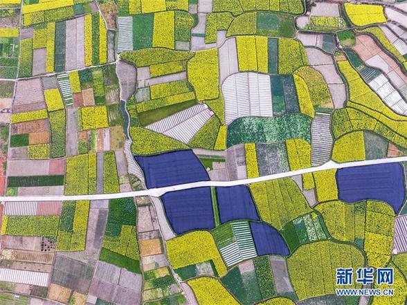 #（空中之眼）（2）黔北花香伴春耕