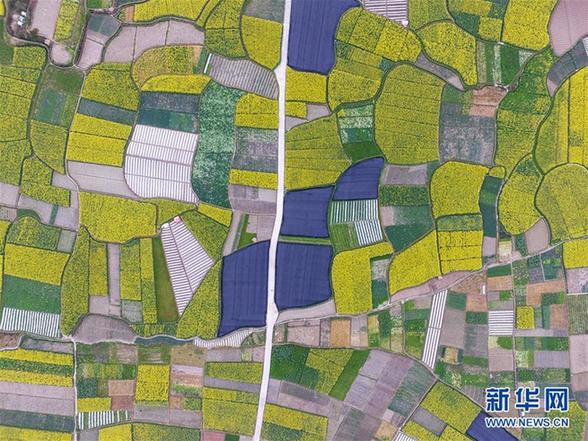 #（空中之眼）（1）黔北花香伴春耕