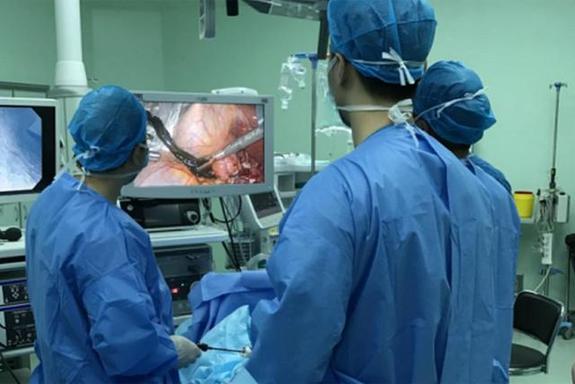 女子胃痛20年问题在胆囊 在深圳取出一条23cm的虫