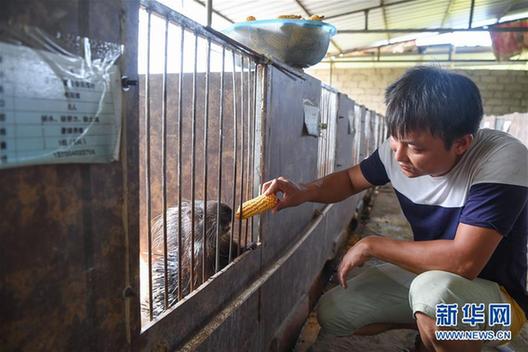 （砥砺奋进的五年·脱贫攻坚表情谱）（4）刘福财：不建新房建猪舍 带头致富奔小康
