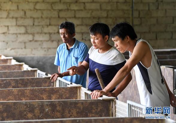 （砥砺奋进的五年·脱贫攻坚表情谱）（5）刘福财：不建新房建猪舍 带头致富奔小康