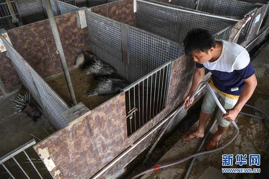 （砥砺奋进的五年·脱贫攻坚表情谱）（6）刘福财：不建新房建猪舍 带头致富奔小康