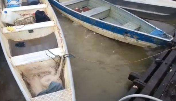 大叔在水面扔进一块牛肉，几分钟后出现大水花