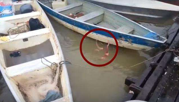 大叔在水面扔进一块牛肉，几分钟后出现大水花