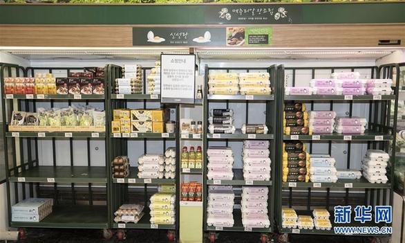 （国际）（3）韩政府承诺销毁“毒鸡蛋”及其加工食品