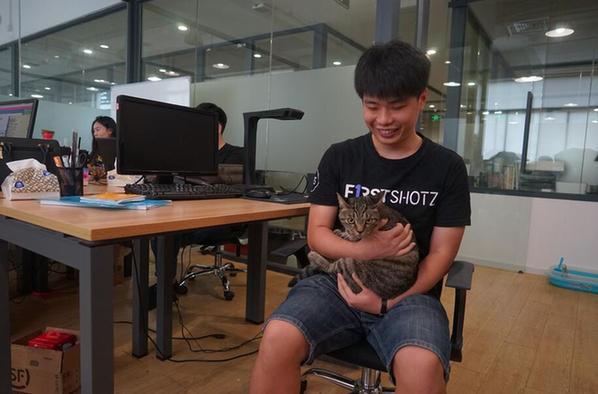 被称为“姐姐”的猫和她待的公司的创业者