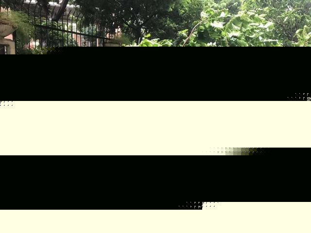 抗台风，我在！