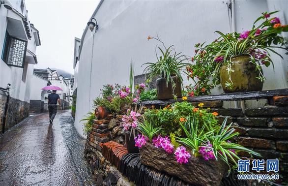 （砥砺奋进的五年·为了总书记的嘱托·图文互动）（4）绿色，播种在大地上的美好未来——重访习近平总书记党的十八大以来国内考察地 