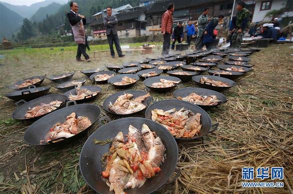 #（社会）（2）贵州丹寨：丰收的“喜宴”