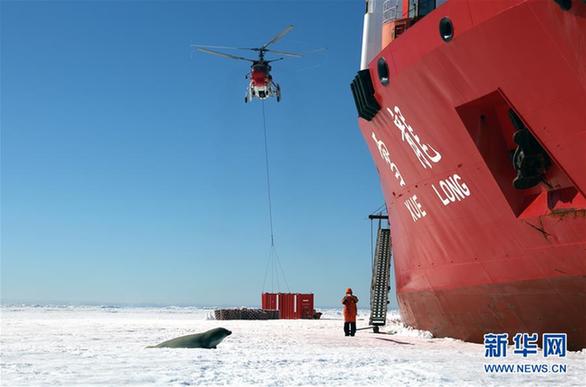 （第34次南极科考）（7）南极风光·可爱生灵