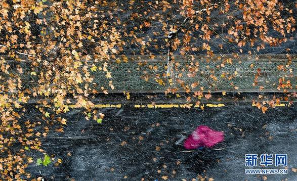 （环境）（14）多地出现降雪天气