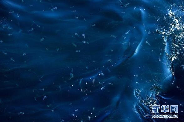 （图文互动）（3）通讯：探秘北印度洋莫克兰海沟
