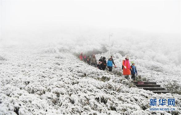 （环境）（1）重庆金佛山：银装素裹惹人爱