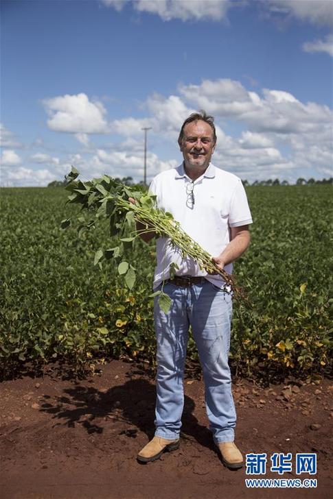 （国际·图文互动）（3）巴西管理转基因大豆“严”字当头 