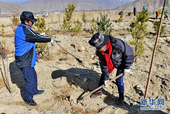 （环境）（1）西藏启动大规模国土绿化行动