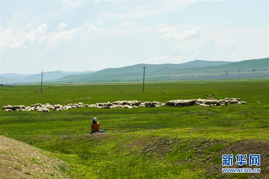 （环境）（4）呼伦贝尔草原景色美