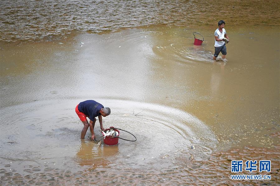 （社会）（4）江西部分地区旱情持续