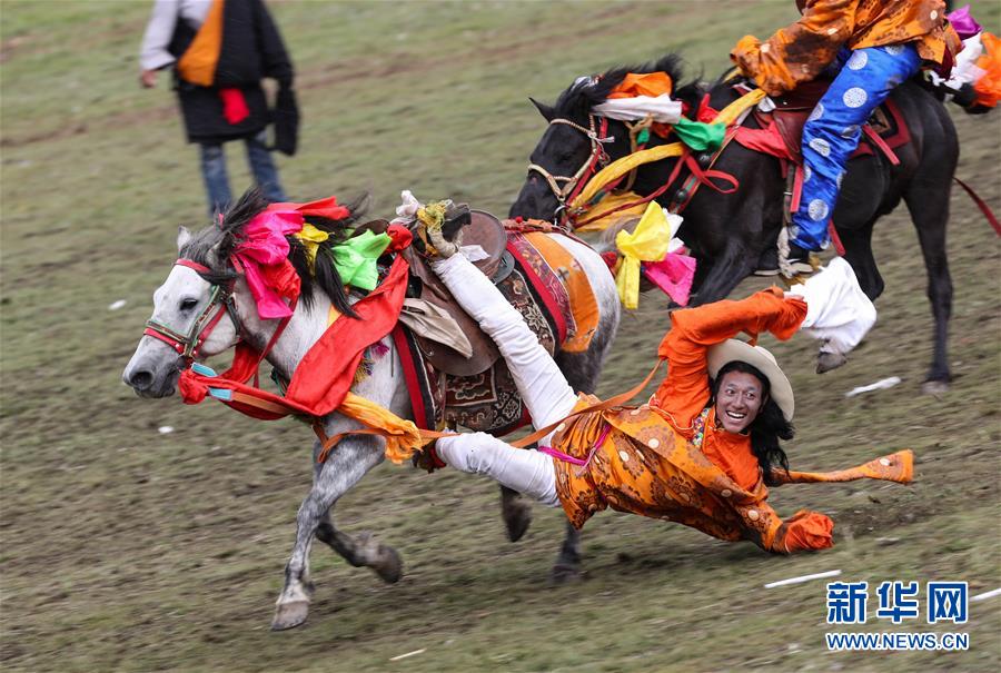 （社会）（1）来四川理塘赛马节看康巴汉子帅气飚马