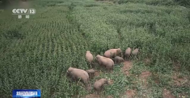 cae201e652594b33a391ad88c3ba14b5.png cae201e652594b33a391ad88c3ba14b5.png