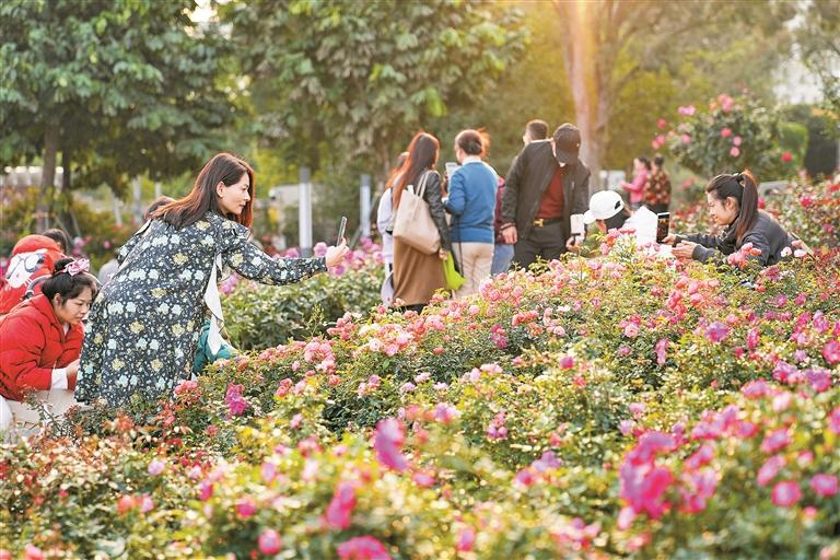 4dbef6ff7cb69e9ee0ee1e4cff7b5cb4.jpeg 4dbef6ff7cb69e9ee0ee1e4cff7b5cb4.jpeg