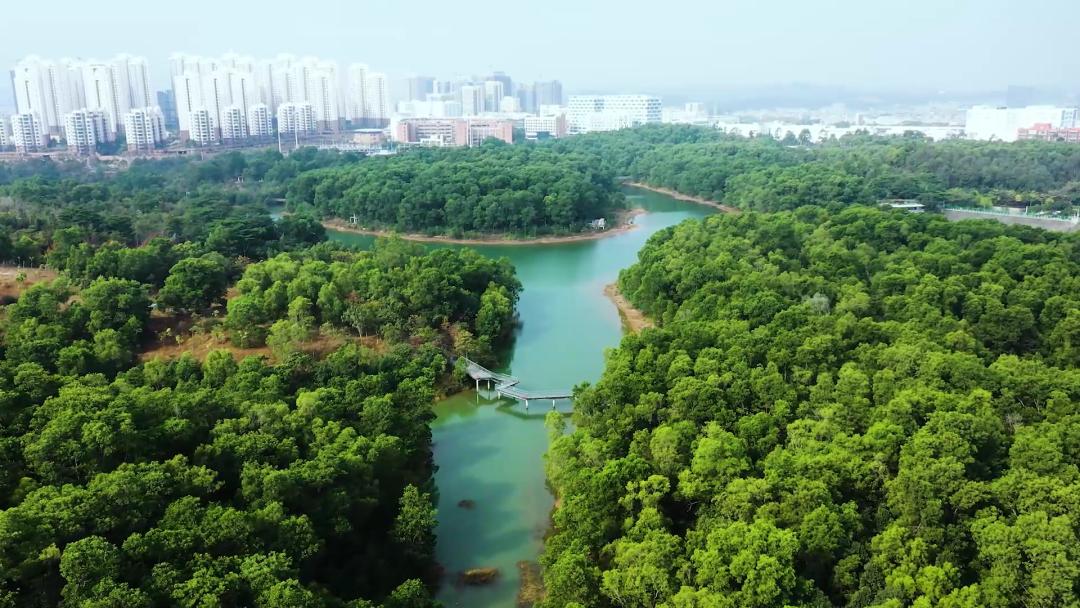 b28f628074e0d3c72032231efb5fdba6_640_wx_fmt=png&wxfrom=5&wx_lazy=1&wx_co=1.png b28f628074e0d3c72032231efb5fdba6_640_wx_fmt=png&wxfrom=5&wx_lazy=1&wx_co=1.png