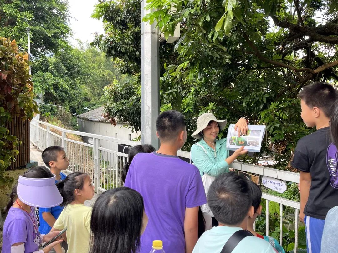 886e40194265927d7a4484fa22ce9d8b_640_wx_fmt=jpeg&wxfrom=5&wx_lazy=1&wx_co=1.jpg 886e40194265927d7a4484fa22ce9d8b_640_wx_fmt=jpeg&wxfrom=5&wx_lazy=1&wx_co=1.jpg