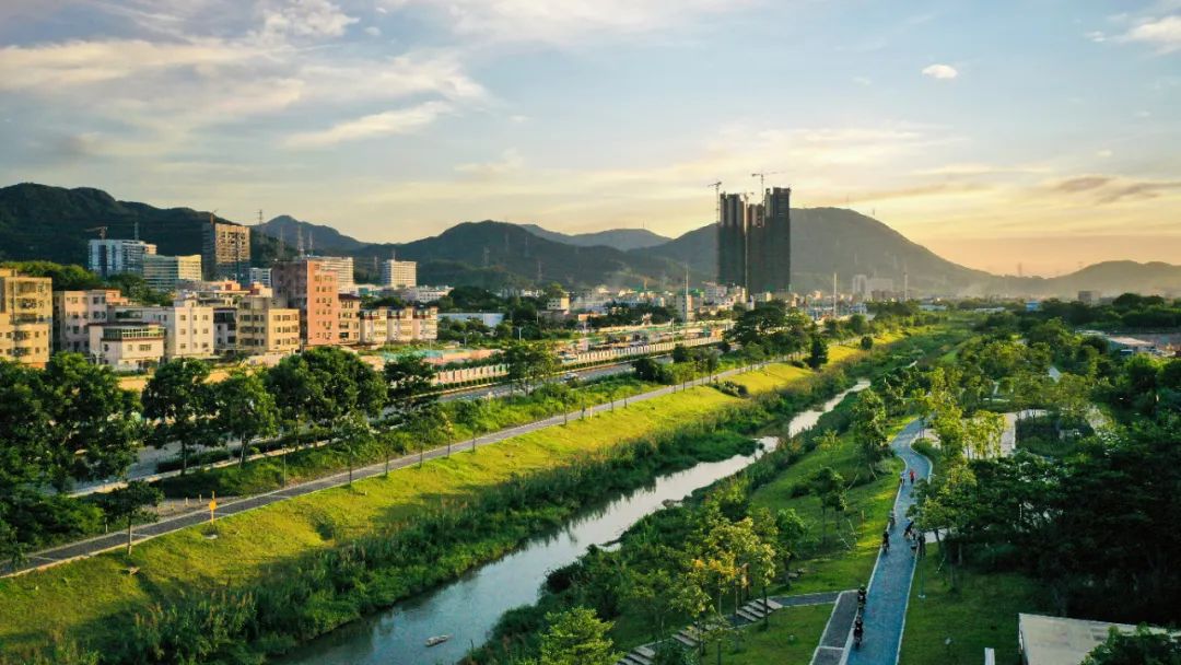 用手机在社交平台上搜索,坪山河湿地公园,墩子河湿地,燕子岭公园等被